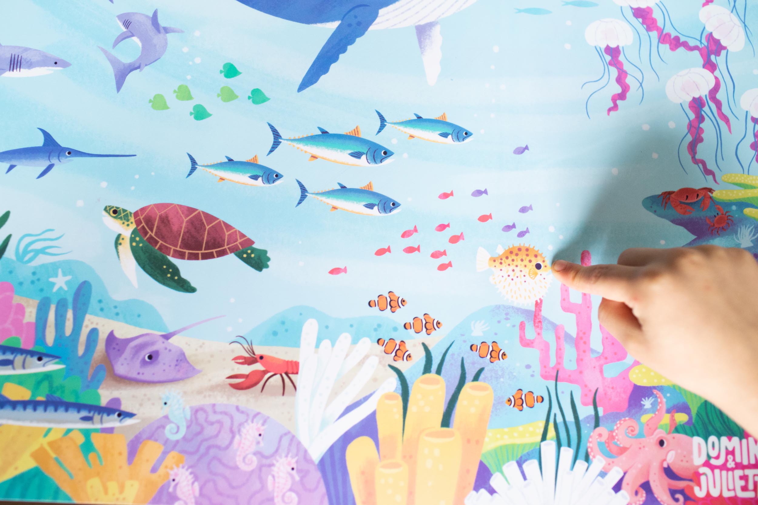 Under the Sea Placemat, Image of the Under the Sea Placemat, Ocean Placemats, Preschool and kindergarten activities, Sea creature placemat, ocean placemat, Placemat for toddler language development