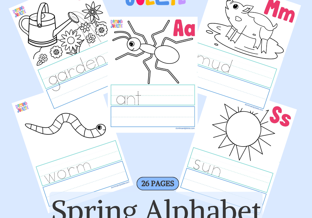 1_1_05b7a3fa-45f0-4eb6-abd3-23b437ba7fe4.png