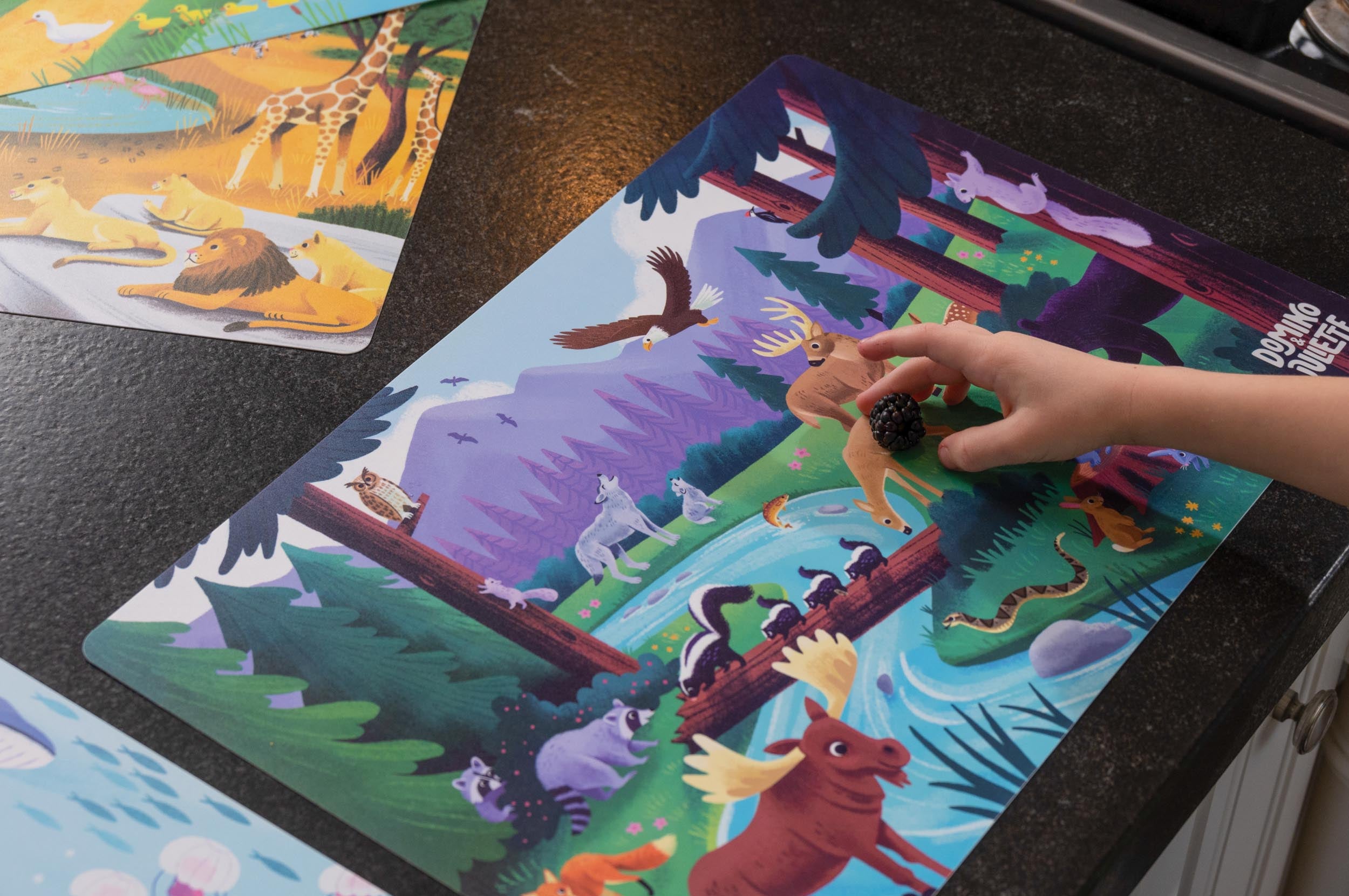 Walk in the Woods Placemat, Furry and feathered forest animal placemat, Walk in the woods placemat with forest animal illustrations, Encourages language development, early math skills, imaginative play, Perfect for indoor activities for 2-year-olds, preschoolers and kindergartners, Provides engaging and educational activities for children, Great ideas for what to play with 2-year-olds and what to do with a 19-month-old at home.